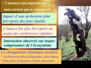 WE chêne liège La Valette 9 oct 22_page-0055