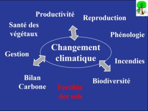 WE chêne liège La Valette 9 oct 22_page-0056