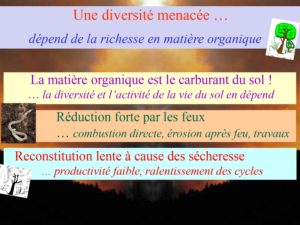 WE chêne liège La Valette 9 oct 22_page-0057