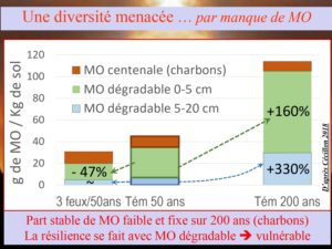 WE chêne liège La Valette 9 oct 22_page-0058