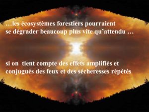 WE chêne liège La Valette 9 oct 22_page-0062