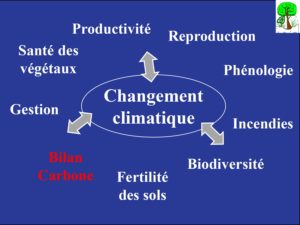WE chêne liège La Valette 9 oct 22_page-0063
