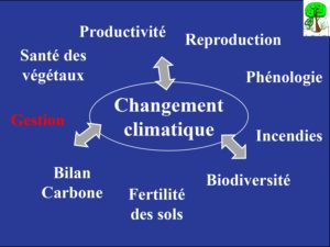 WE chêne liège La Valette 9 oct 22_page-0065
