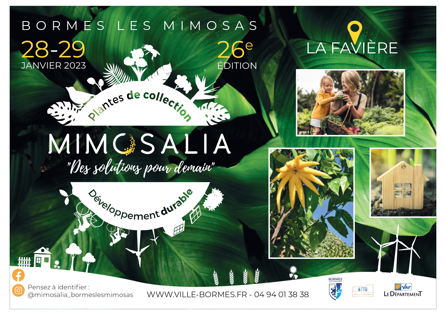 Forêt Modèle de Provence-programme mimosalia5