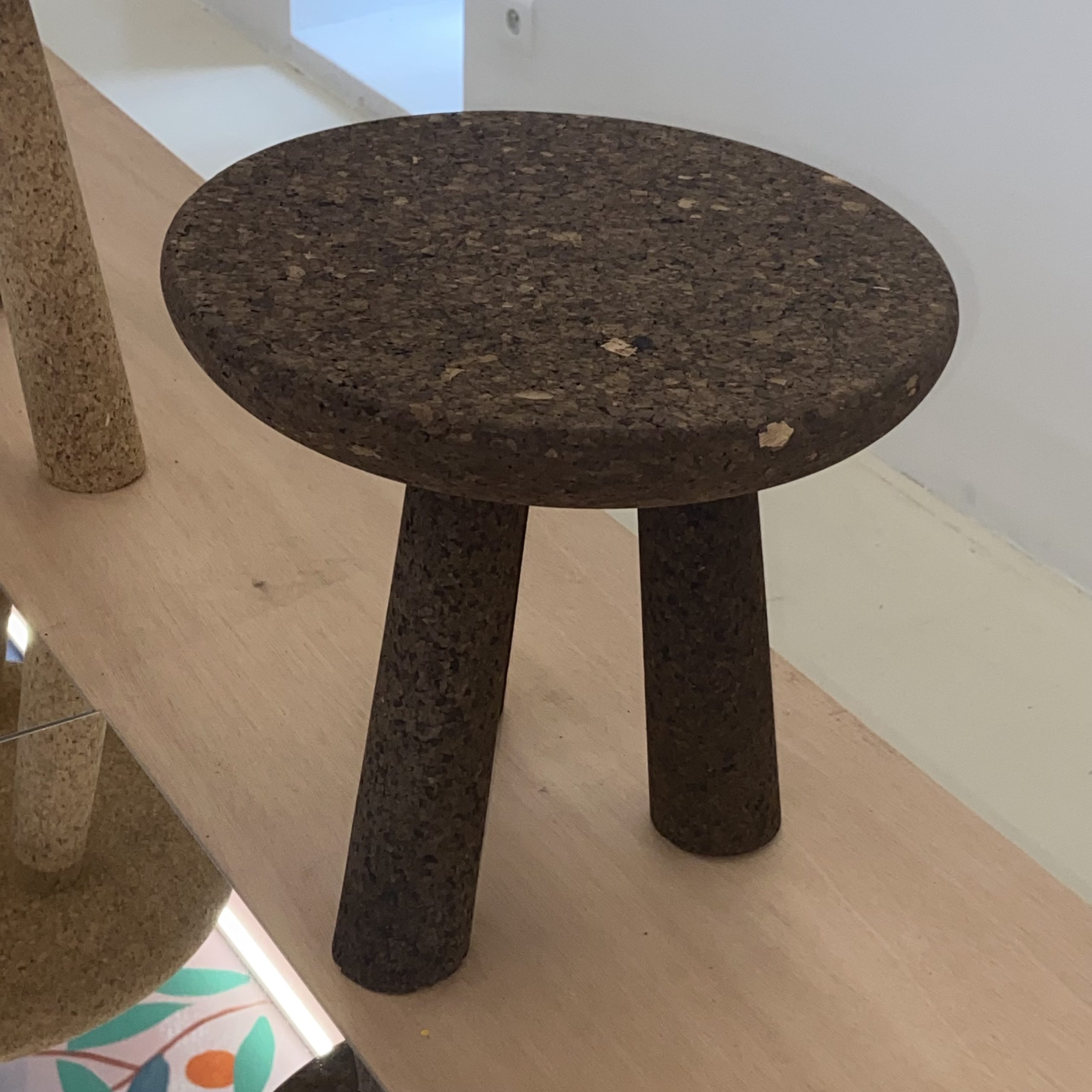 169Forêt_modèle_de_Provence_Concours_Quercus_Suber_2023_Villa_Noailles