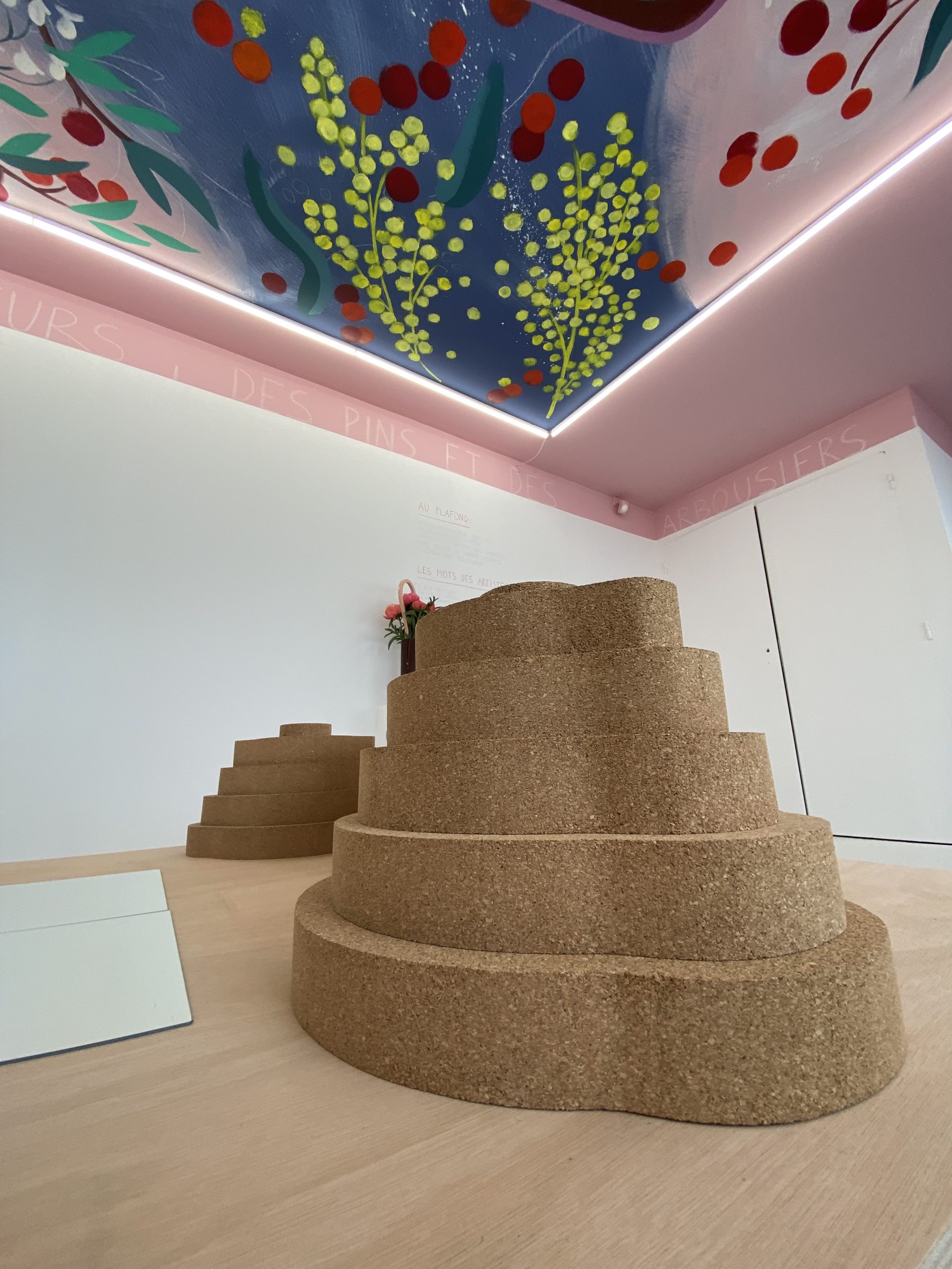 16Forêt_modèle_de_Provence_Concours_Quercus_Suber_2023_Villa_Noailles