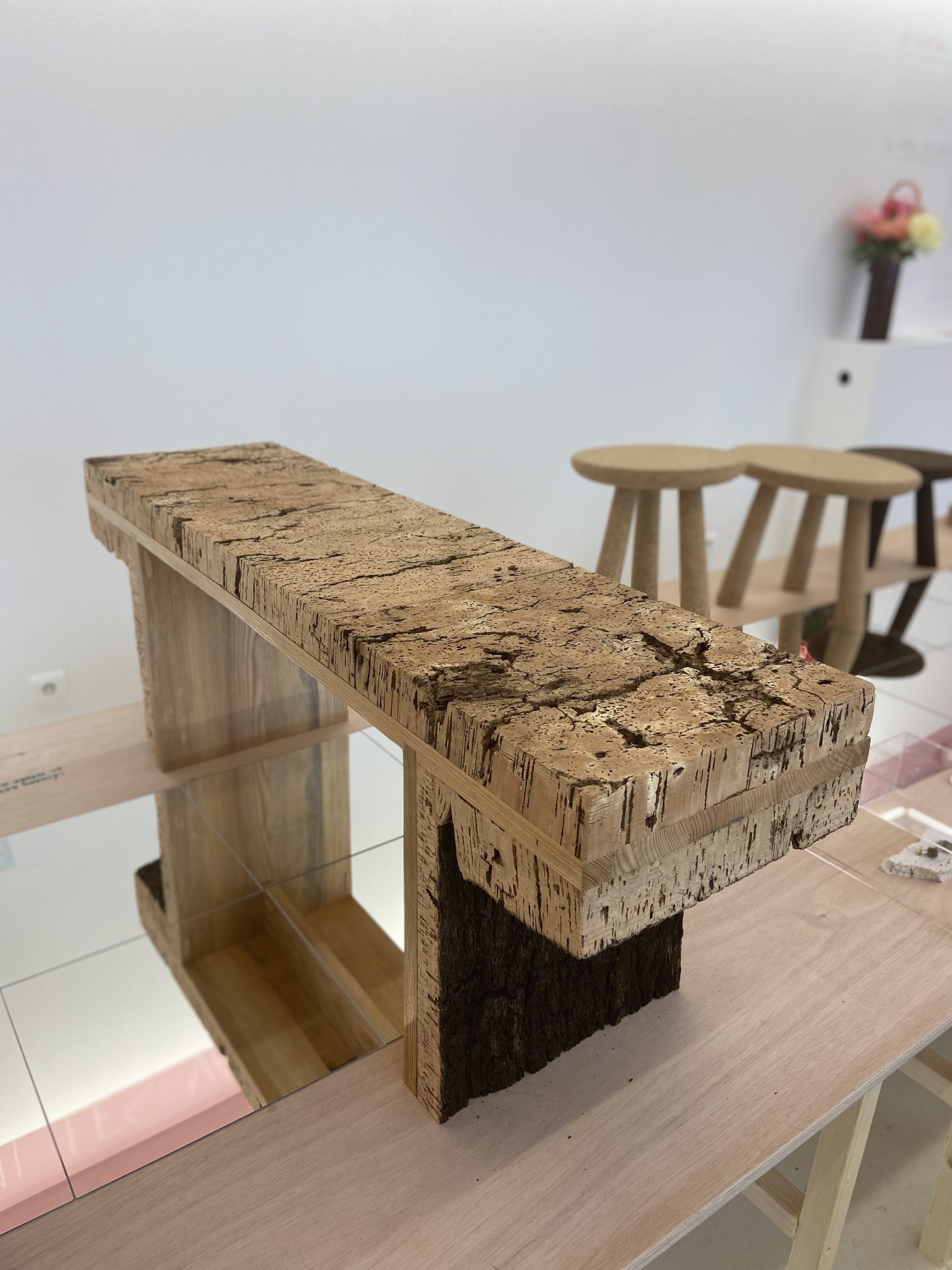 179Forêt_modèle_de_Provence_Concours_Quercus_Suber_2023_Villa_Noailles