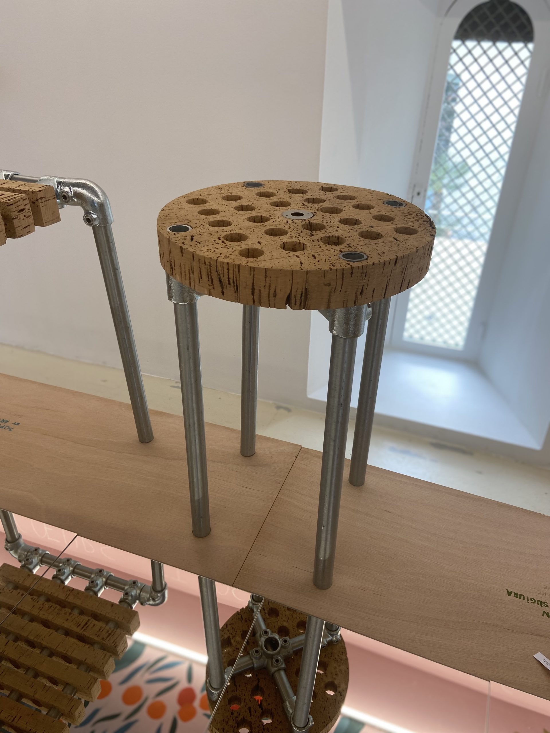 187Forêt_modèle_de_Provence_Concours_Quercus_Suber_2023_Villa_Noailles