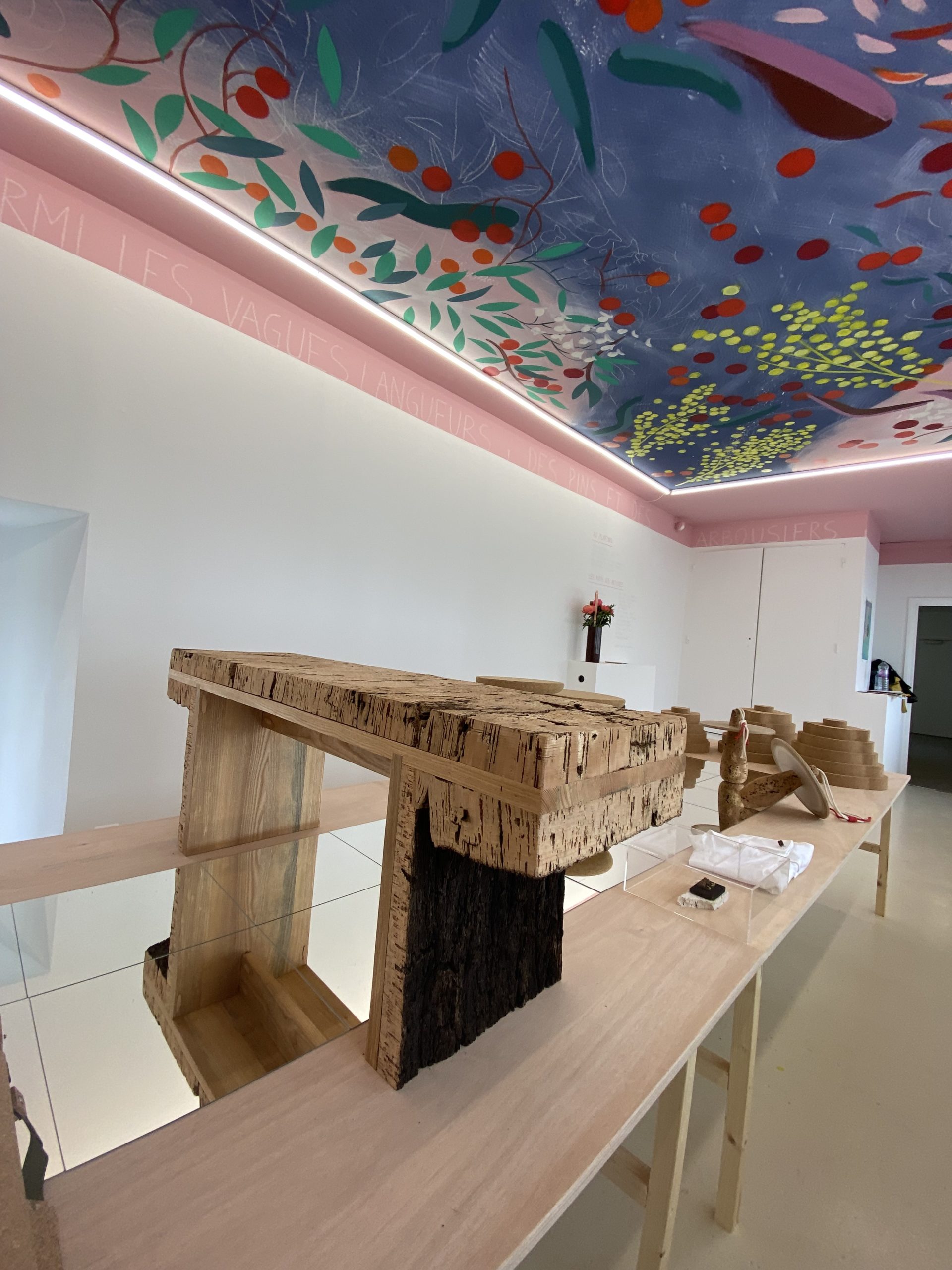 20Forêt_modèle_de_Provence_Concours_Quercus_Suber_2023_Villa_Noailles
