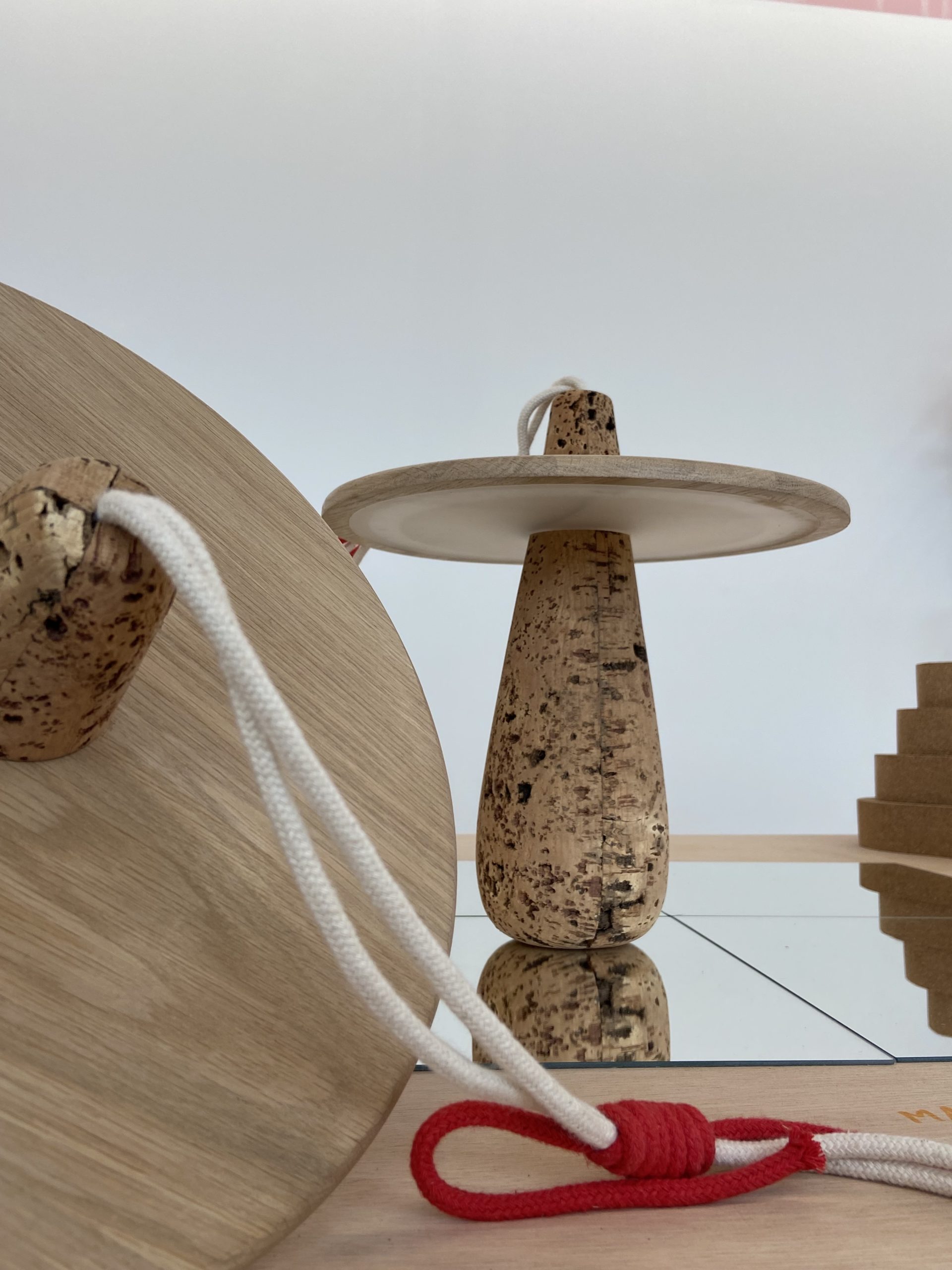 52Forêt_modèle_de_Provence_Concours_Quercus_Suber_2023_Villa_Noailles
