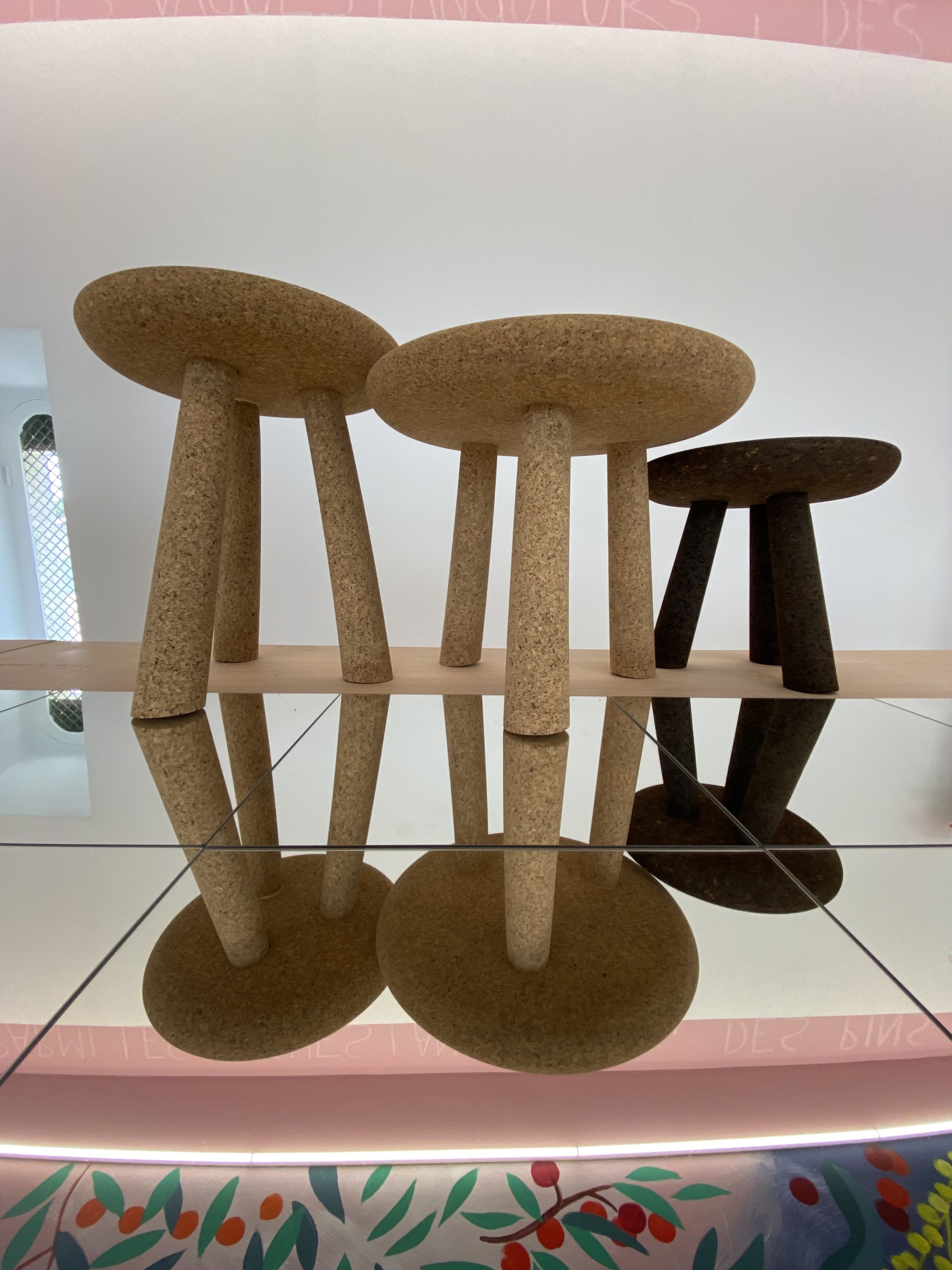 55Forêt_modèle_de_Provence_Concours_Quercus_Suber_2023_Villa_Noailles