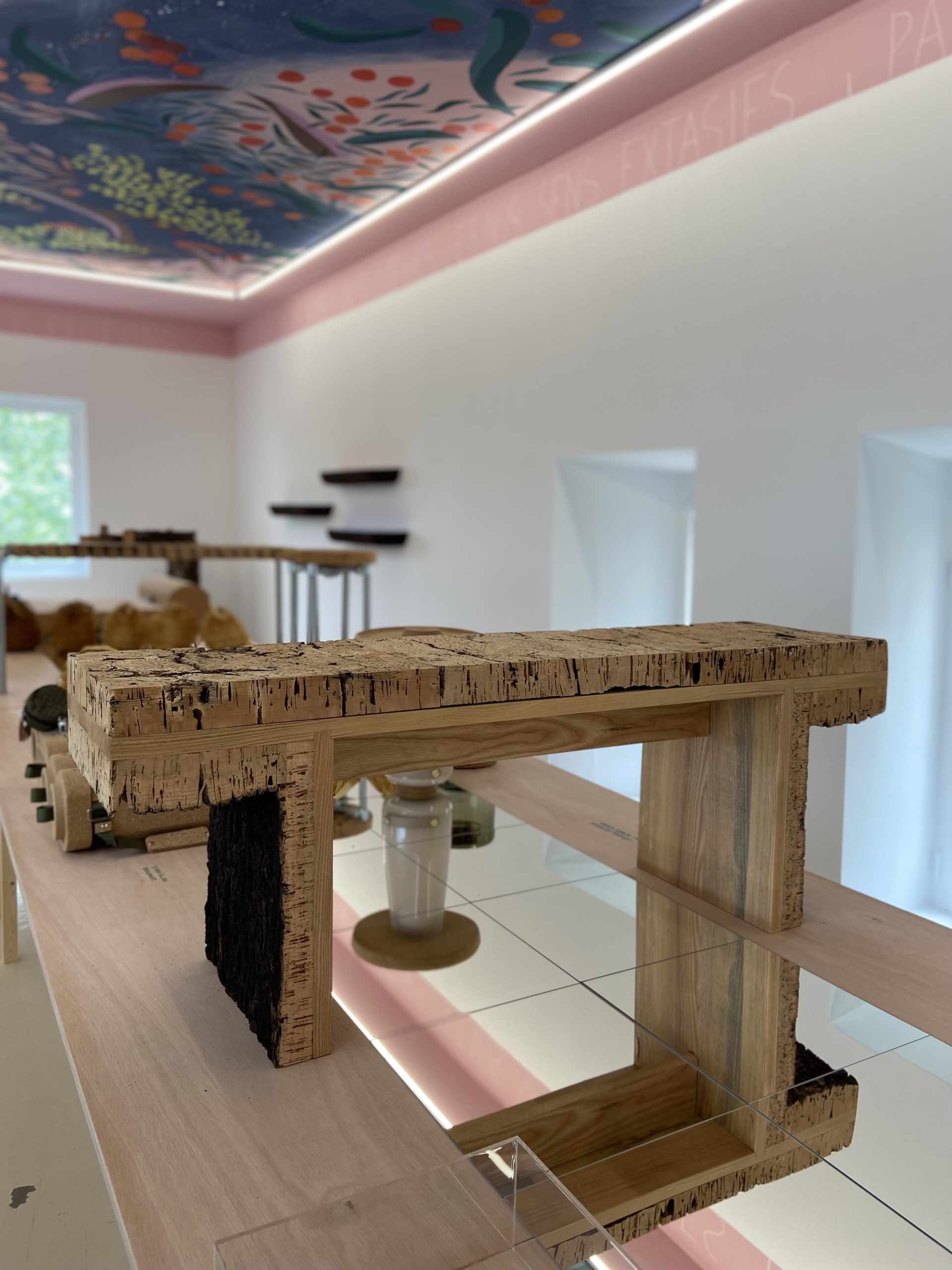 57Forêt_modèle_de_Provence_Concours_Quercus_Suber_2023_Villa_Noailles