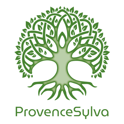 Logo_ProvenceSylva_Usuel_Plan-de-travail-1