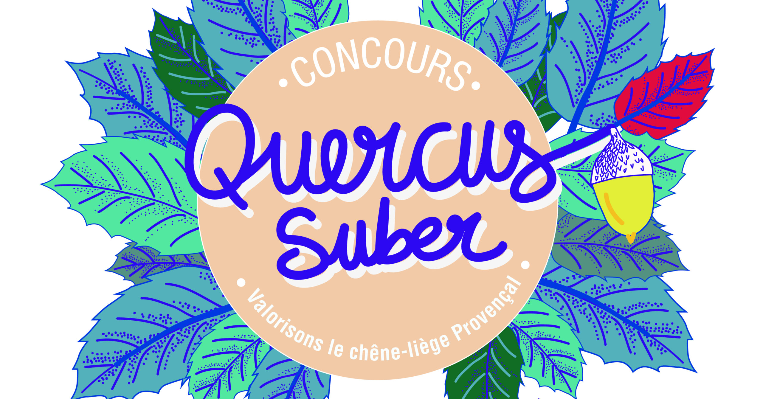 Lancement du Concours 2026