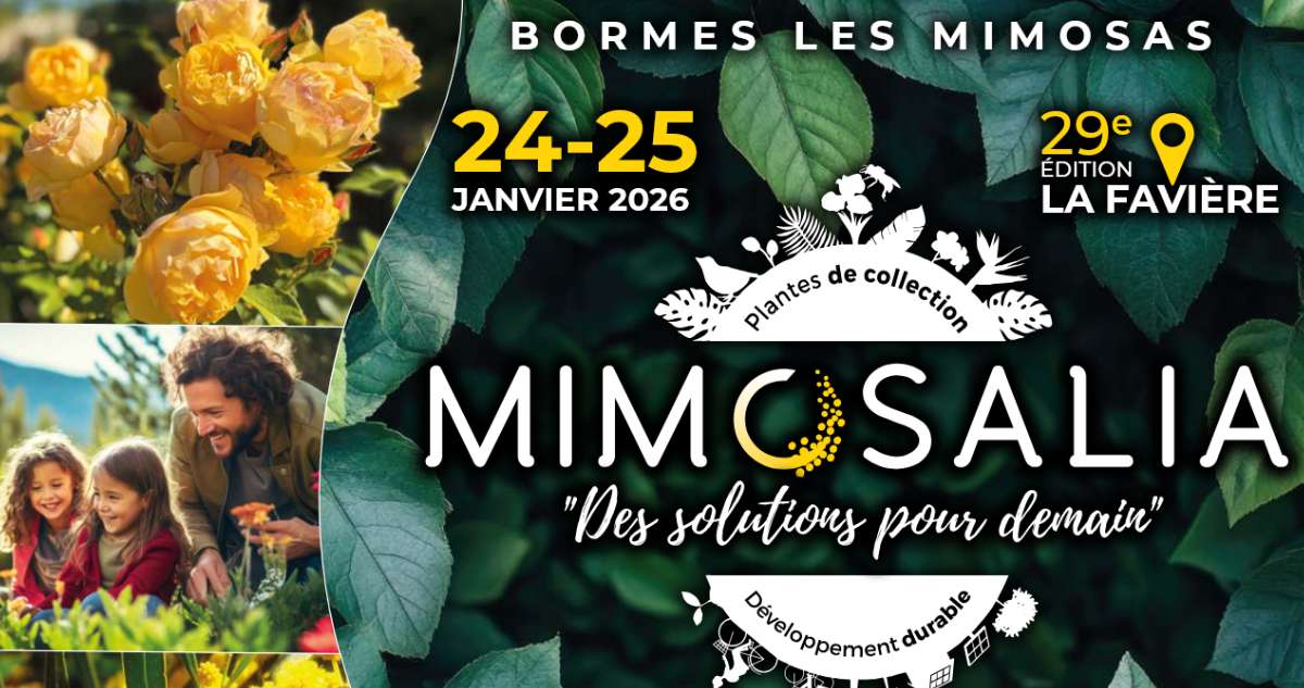 affiche Mimosalia 2026